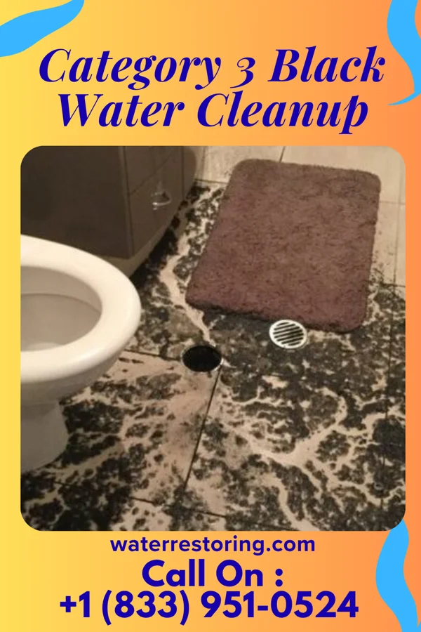 Category 3 Black Water Cleanup in Pymatuning North, PA
