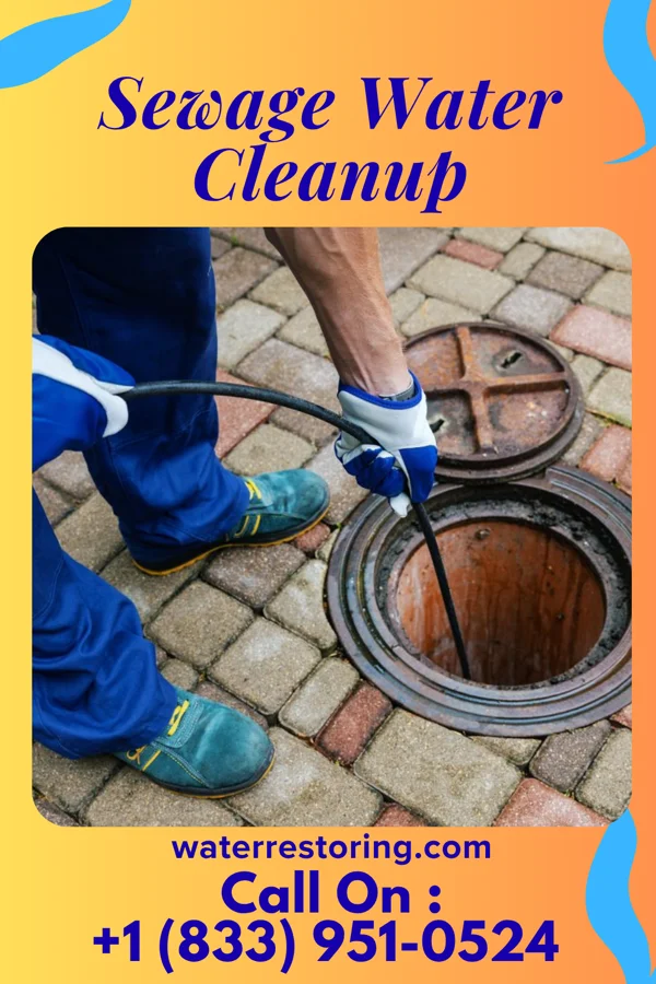 Sewage Water Cleanup in Pymatuning North, PA