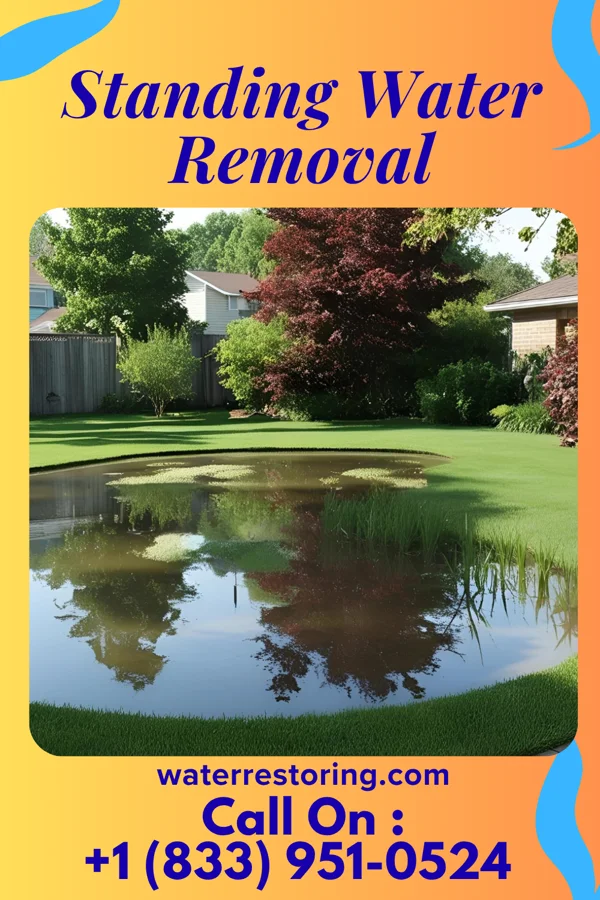 Standing Water Removal in Pymatuning North, PA